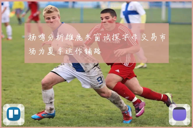 杨鸣分析雄鹿冬窗试探字母交易市场为夏季运作铺路