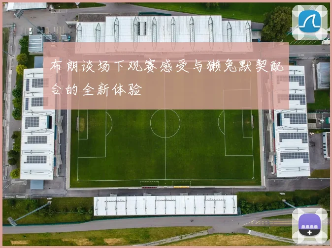 布朗谈场下观赛感受与獭兔默契配合的全新体验