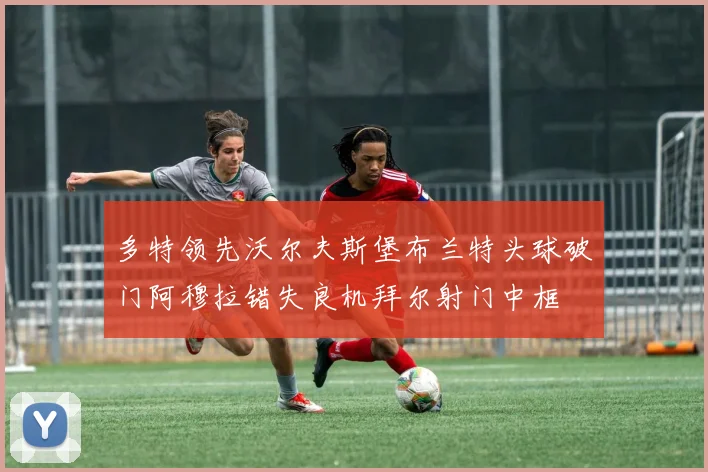 多特领先沃尔夫斯堡布兰特头球破门阿穆拉错失良机拜尔射门中框