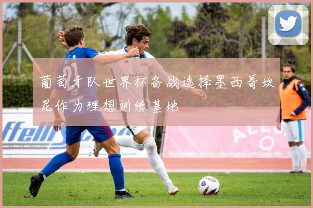 葡萄牙队世界杯备战选择墨西哥坎昆作为理想训练基地
